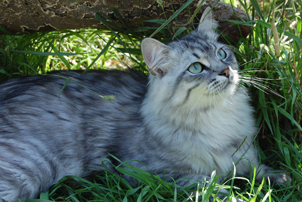 DSC_0411.jpg
