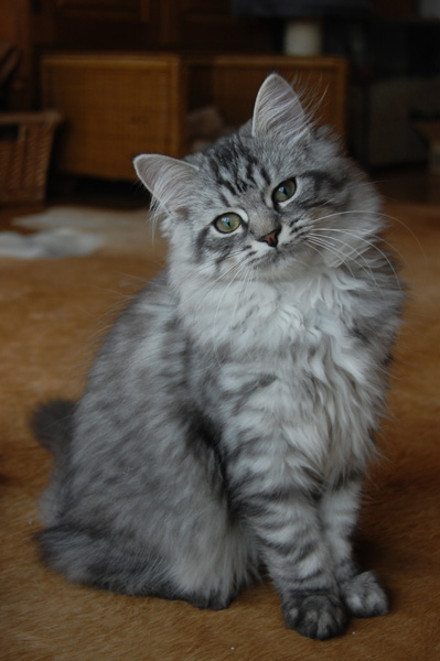 DSC_0441.jpg