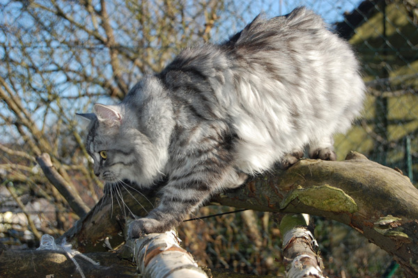 DSC_0624.jpg