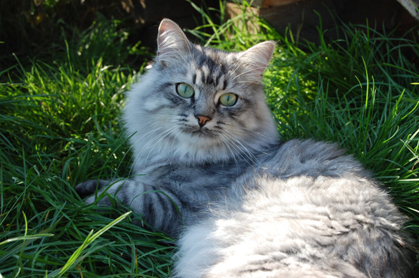 DSC_0808.jpg