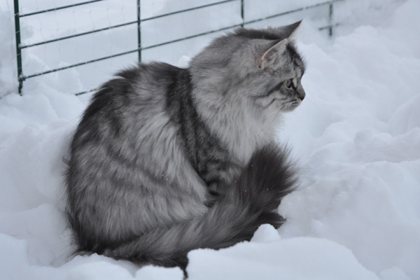 DSC_0938.jpg