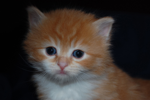 DSC_0041.jpg
