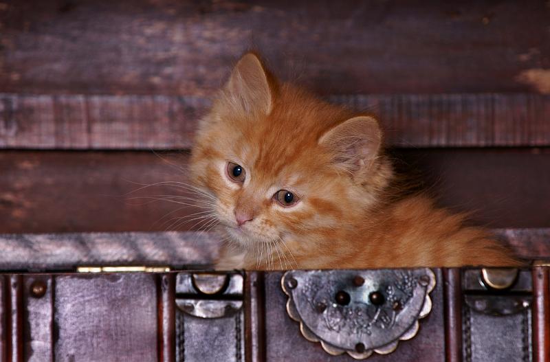 EXP00085.jpg - SONY DSC