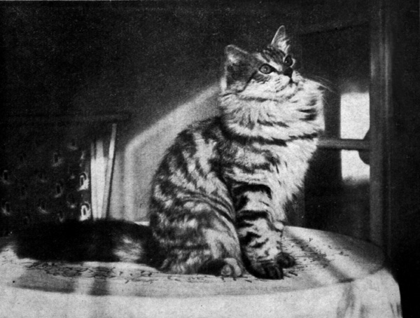 DLH-1927.jpg