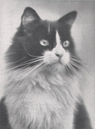 DLH-1941.jpg