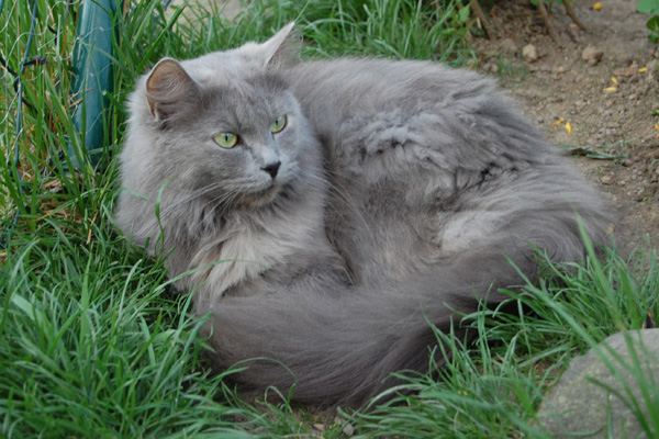 DSC_0305-(2).jpg