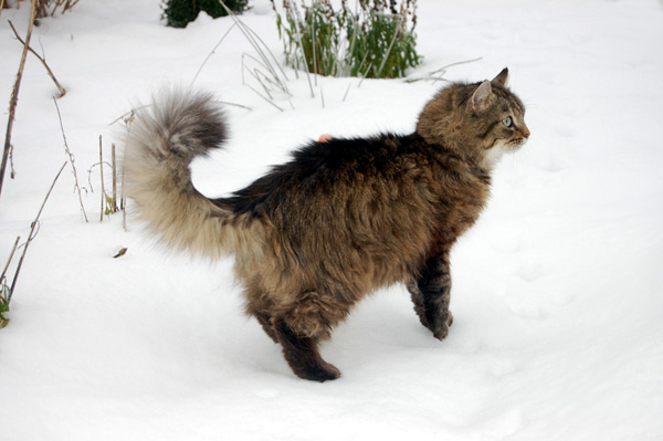 DSC_0573-(2).jpg
