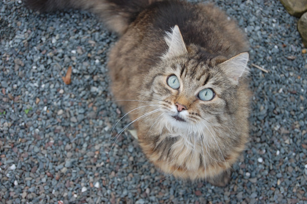 DSC_0599-(3).jpg