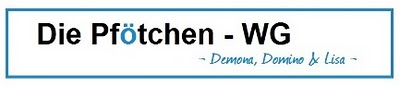 Banner6