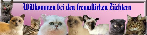 IG freundliche Z�chter