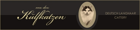 K�lfkatzen