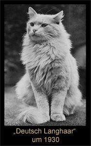 Deutsch Langhaar um 1930
