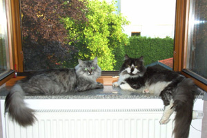 Veith-und-Carlos