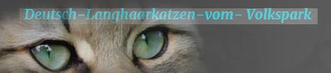 704_volkspark_2