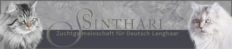 sinthariBanner3