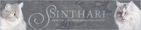 sinthariBanner2